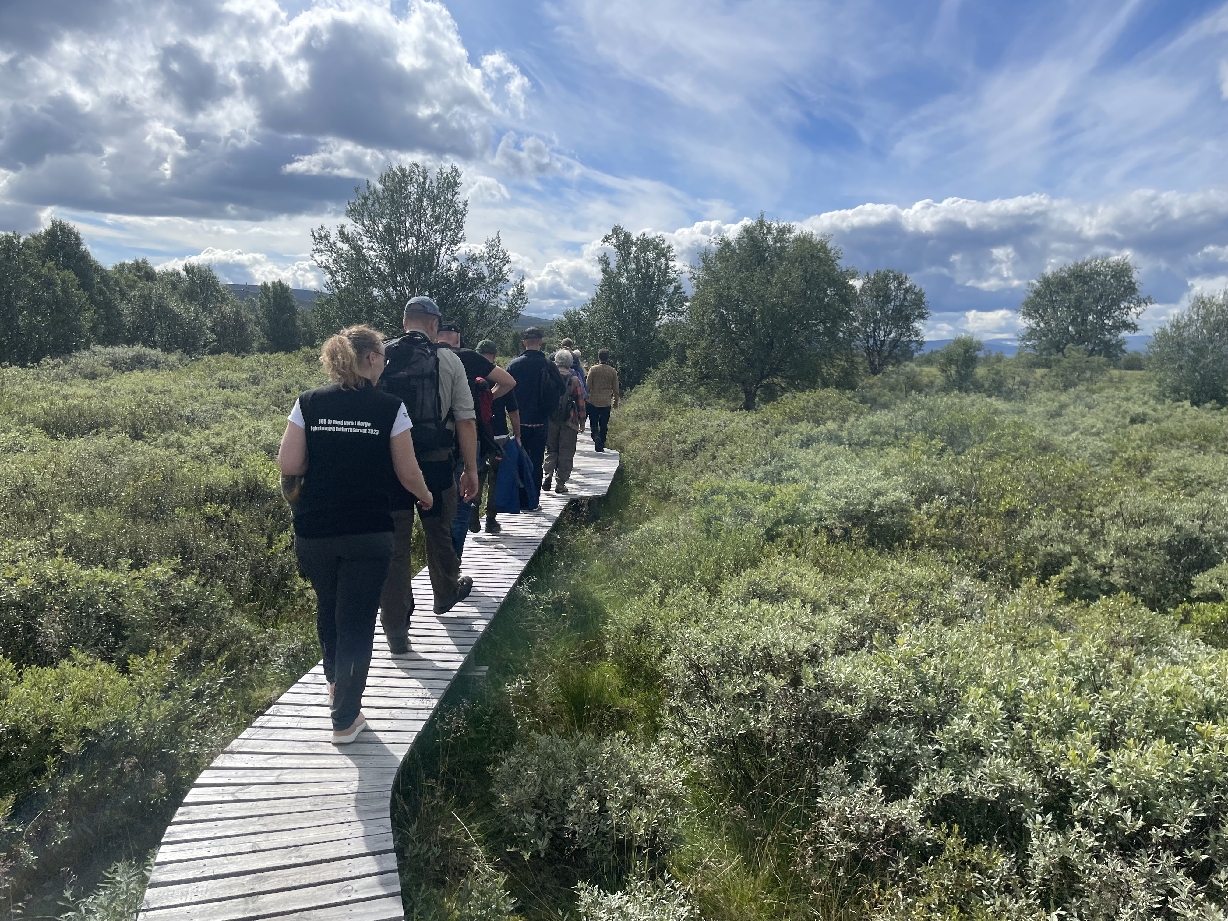 Mange tok seg en tur på plankestien og kom tett på livet i myra. Foto: Kristina Skamsar. Folk går på en plankesti i myra på Fokstugu.