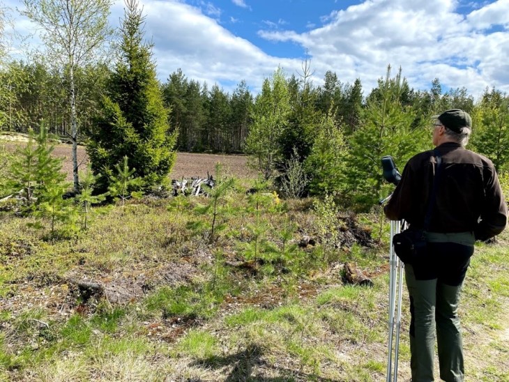 Biolog Jon Bekken på leting etter hortulan i et av kjerneområdene i Innlandet. Foto: Marie-Louise Olsen. Biolog Jon Bekken på leting etter hortulan i et av kjerneområdene i Innlandet.