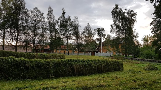 Slåttemark