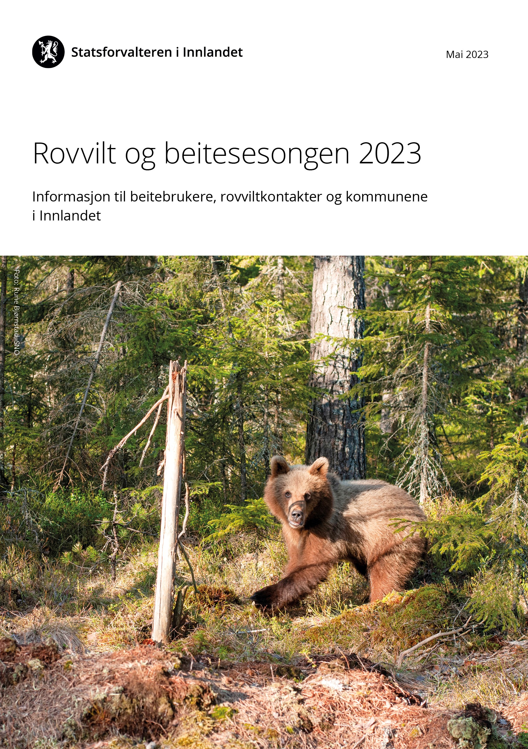 Fremsiden til brosjyren rovvilt og beitesesongen 2023