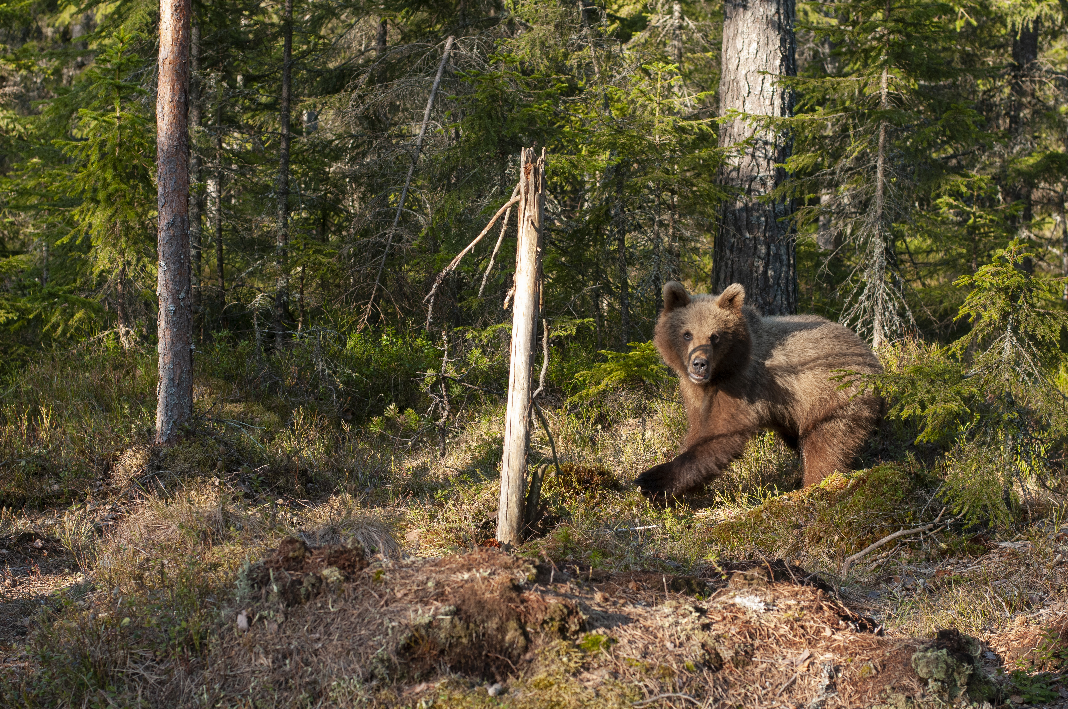 Fotograf: Rune Bjørnstad