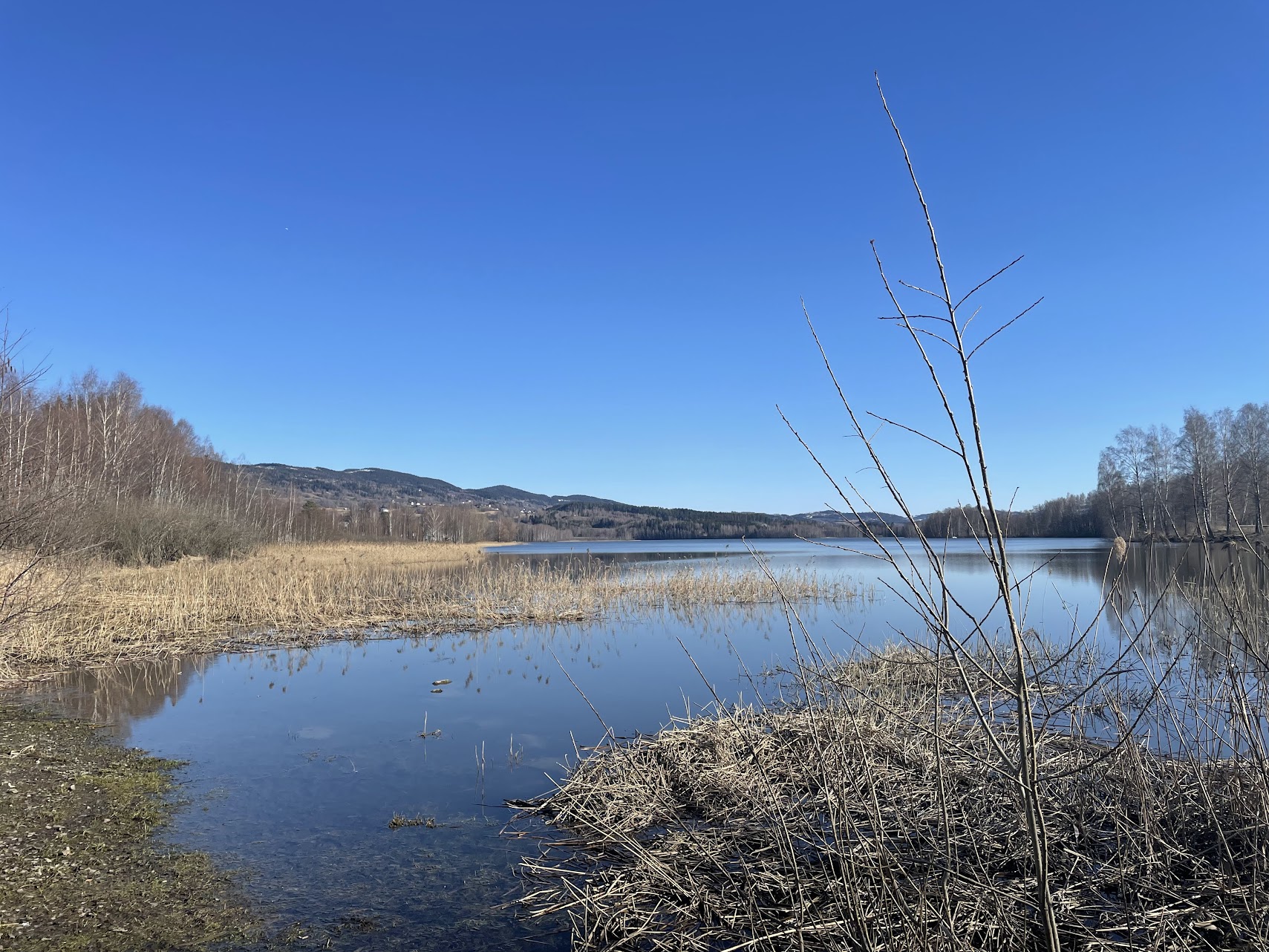 Jarenvatnet