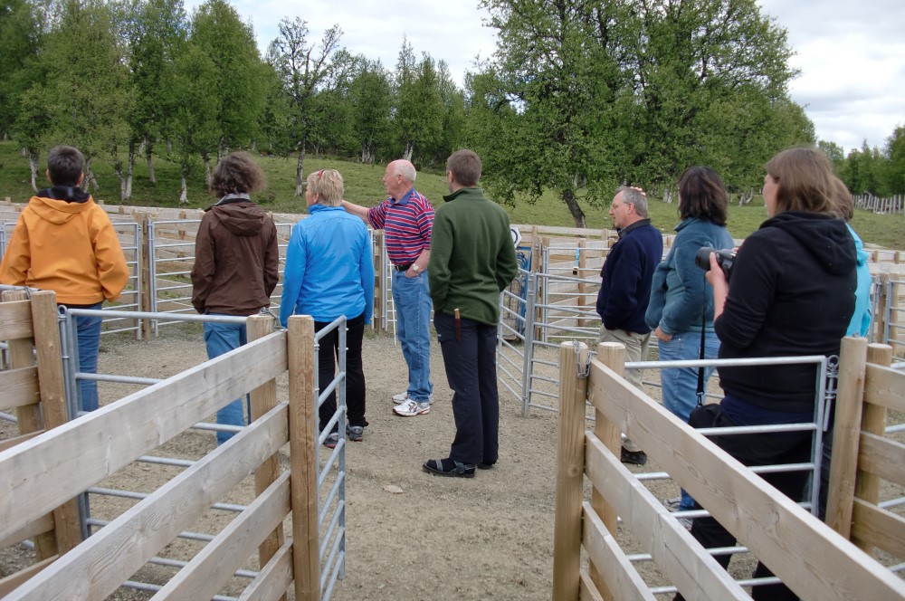 Foto: Anne Berit Grasbakken.