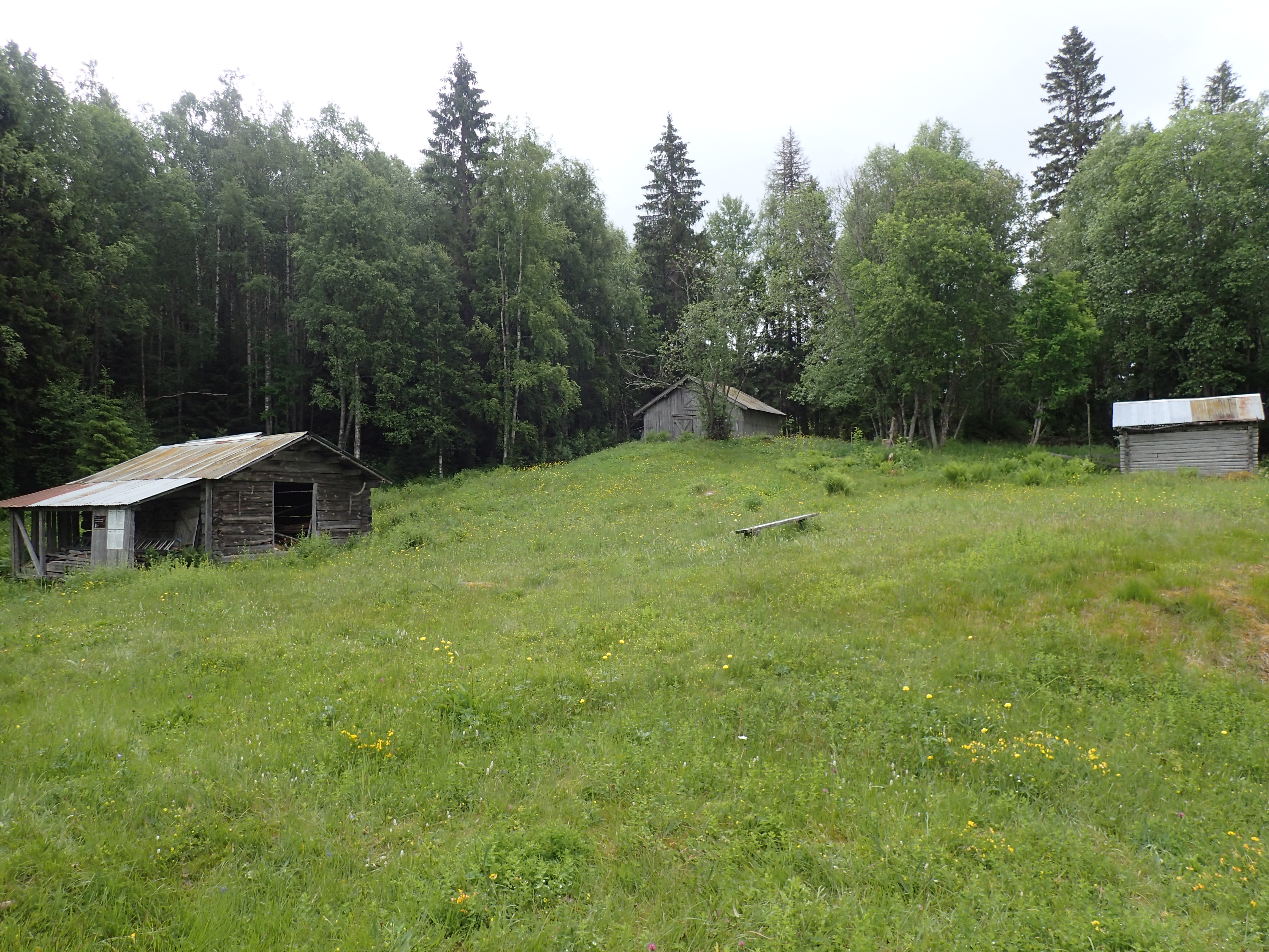 Fra Abborhøgda - Yöperinmäki Foto: Stig Horsberg. Gamle, små uthus rundt eng med skog rundt