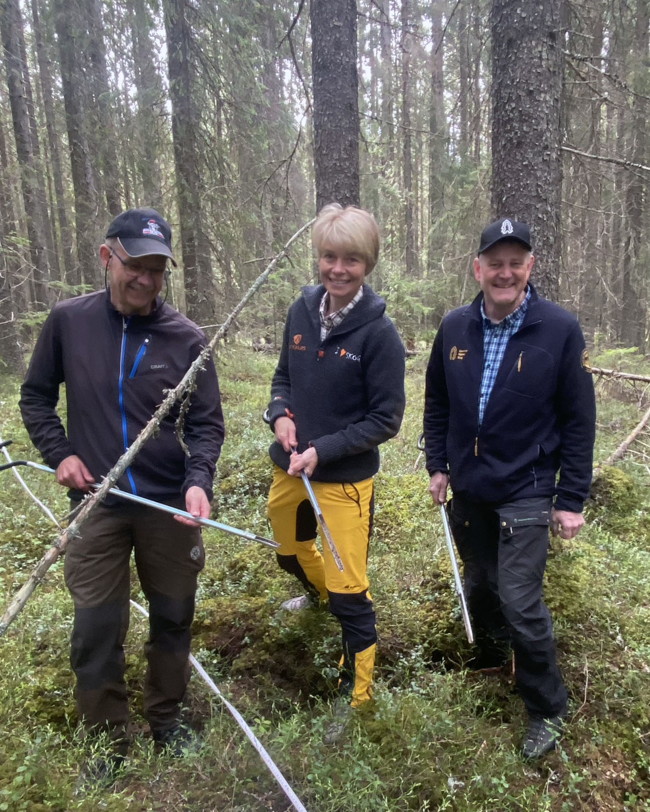 Utvelgelse av egnet bestand skjer blant annet med bruk av jordspyd for å sjekke jorddybde, jordtype og andel stein i bestandet. Fra venstre: Dagfinn Haget, Eva Skagestad og Sverre Holm. Tre personer ute i skog