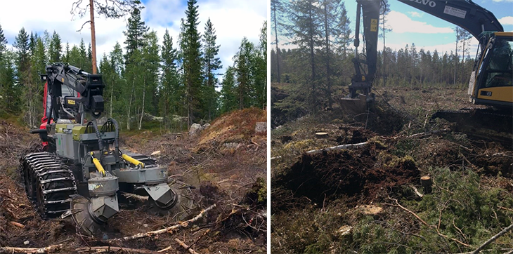 På begge feltene utføres markberedning på to ulike måter: Markberedning med gravemaskin og markberedning med aggregat på lassbærer, i tillegg til at det også gjøres målinger på ubehandlede kontrollflater. Foto: Torfinn Kringlebotn / Helge Bjørnstad. Maskiner i arbreid i skog