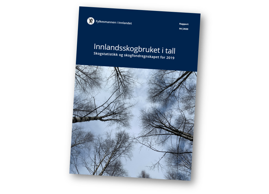Rapportfremside til Innlandsskogbruket i tall