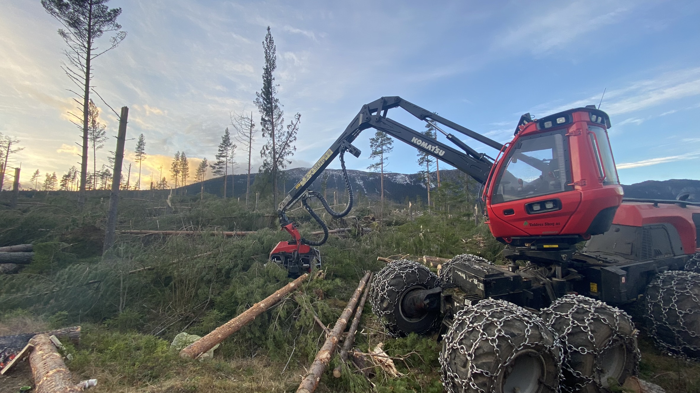 Opprydding av vindfelt skog i Sør-Aurdal etter stormen 19. november 2021