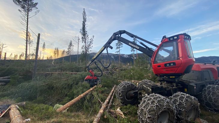 Opprydding etter stormskader i Hedalen. Foto: Eva C. Skagestad. Opprydding etter stormskader i Hedalen.