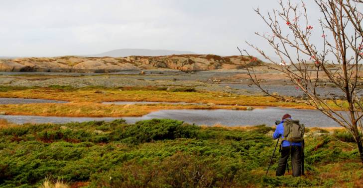 Dette vakre landskapet ønsker vi å ta vare på. Foto: Beate Sundgård.