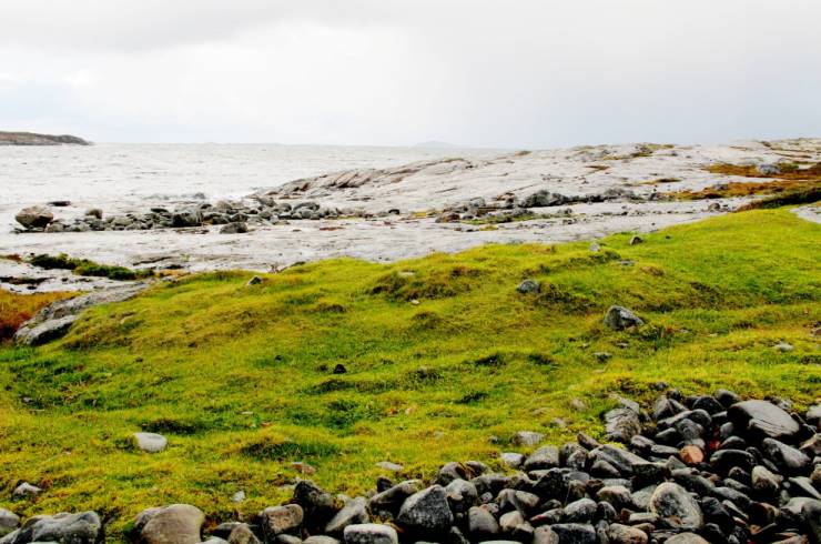 Godt beita og verdifull kystlynghei i Åfjord. Foto: Beate Sundgård